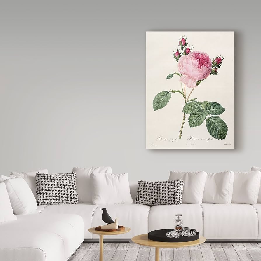 Amazon.co.jp: ピエール=ジョセフ・ルドゥート作 Les Roses